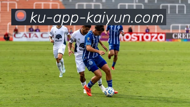 开云平台生态图